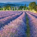 Hotel Kouzelná Provence dovolenka