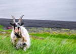 Hotel Mozaika jedinečných míst Islandu dovolenka