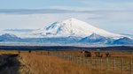 Driemajúca sopka Hekla
