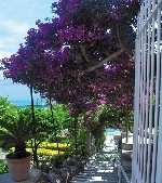 Hotel Casa Rosa Terme Hotel dovolenka