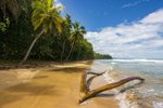 Punta Uva