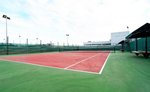 Tenis 