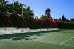 Tenis