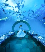 Podvodná reštaurácia