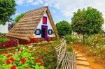 Hotel SLAVNOSTI KVĚTIN NA MADEIŘE dovolenka