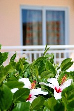 Hotel Diagoras Hotel dovolenka