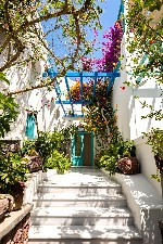 Hotel ANDREAS HOTEL dovolenka