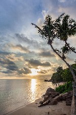 Hotel Coco de Mer Hotel & Black Parrot Suites dovolenka