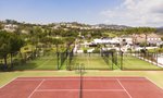Tenis