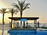 Bar Swim Up
