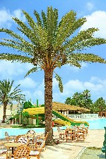 Hotel The Ksar Charming Hotel & SPA dovolenka