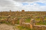 Timgad