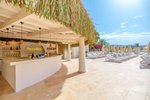 Palm Bar