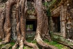 Chrám Ta Prohm v objatí prírody
