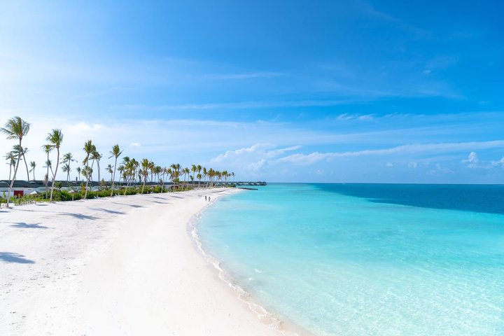 Joy Island – fotka 3