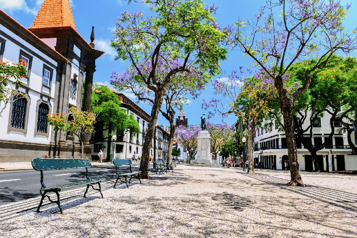 Hotel Alojamento Central II dovolenka