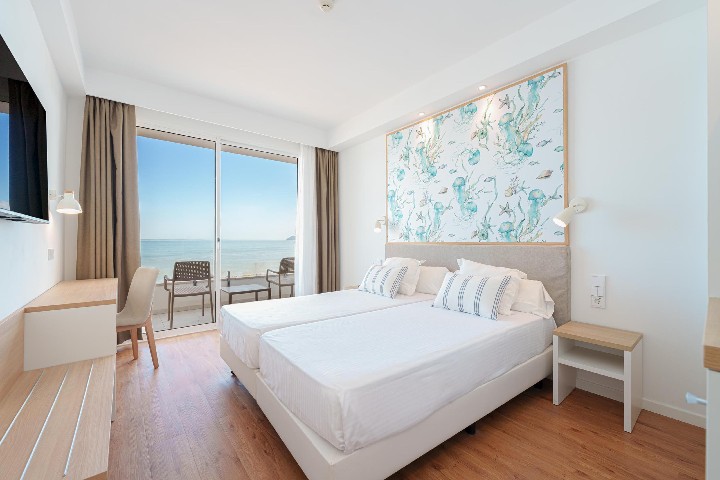 Globales Concord – fotka 3